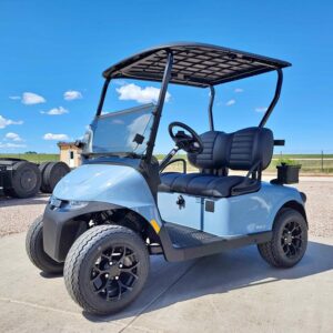 2027 E-Z-GO RXV Freedom EFI Gas Golf Car